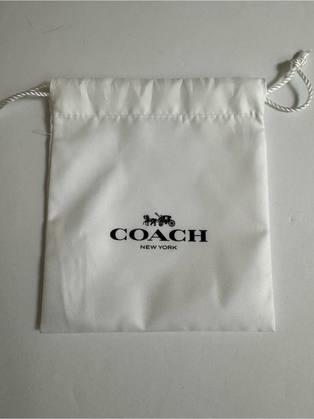 Coach CCX77 DIY Cherry Charm Brass Red Apple NWT Dust Bag